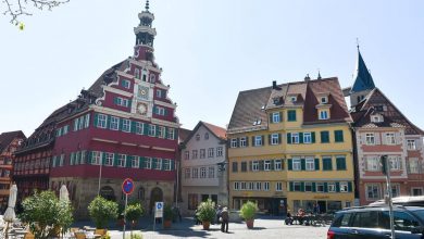Esslinger am Neckar